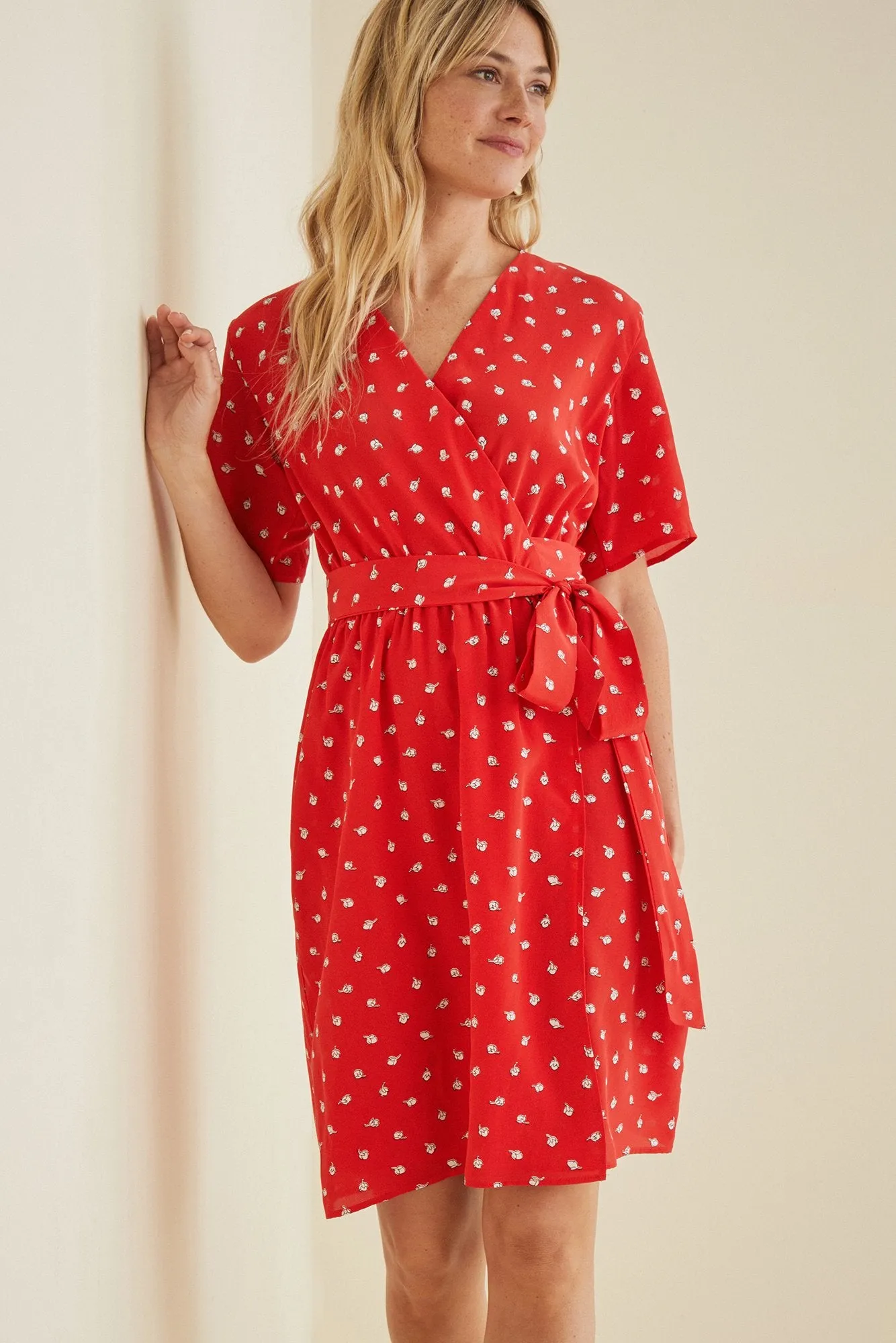 Galatea Wrap Dress