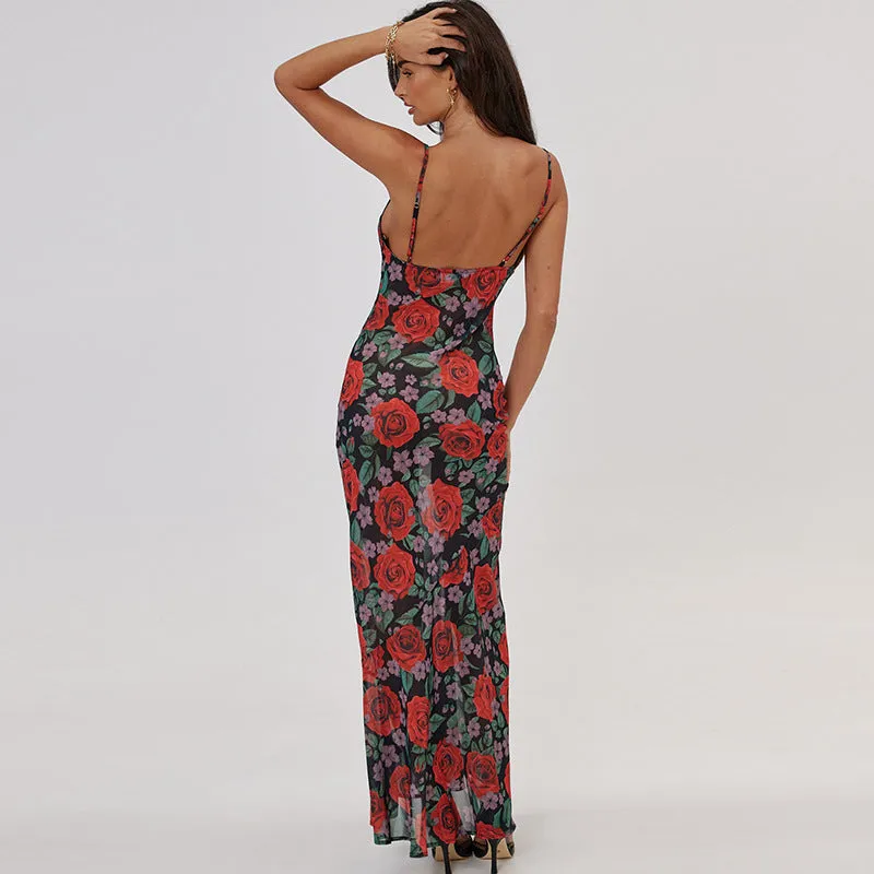 Laela Floral Print Mesh Maxi Dress