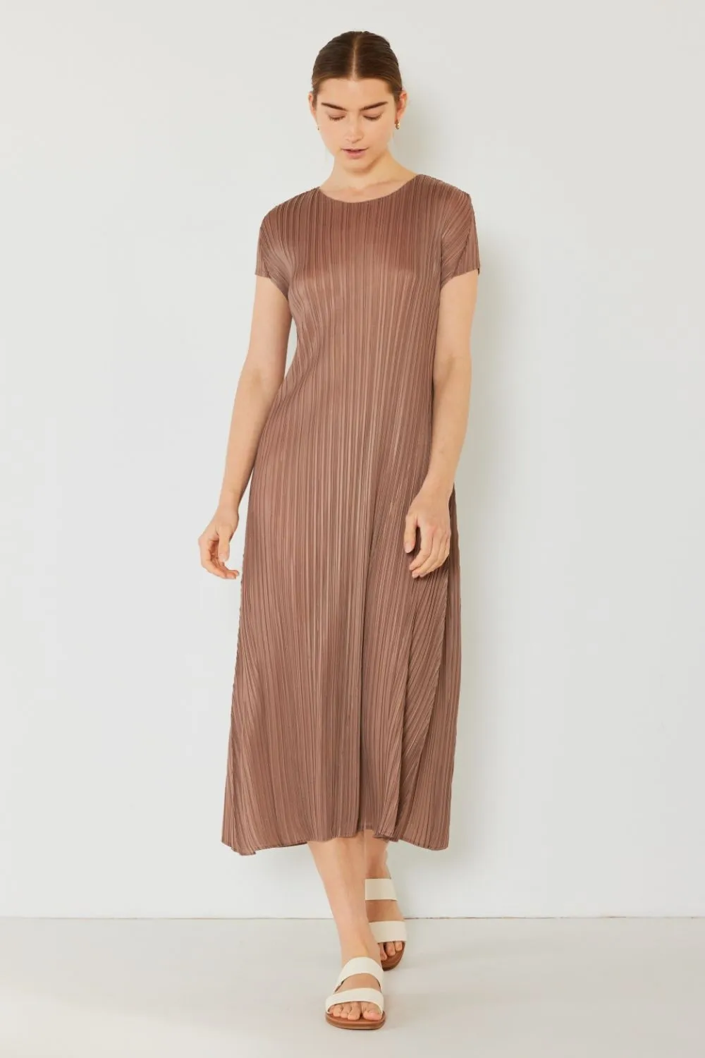 Pleated Cap Sleeve A-Line Dress