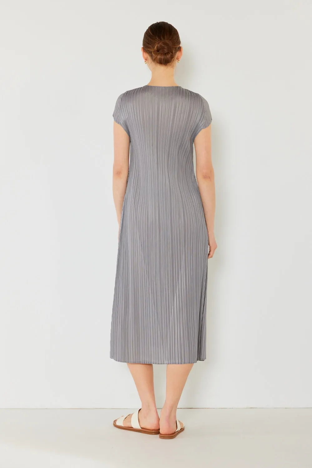 Pleated Cap Sleeve A-Line Dress