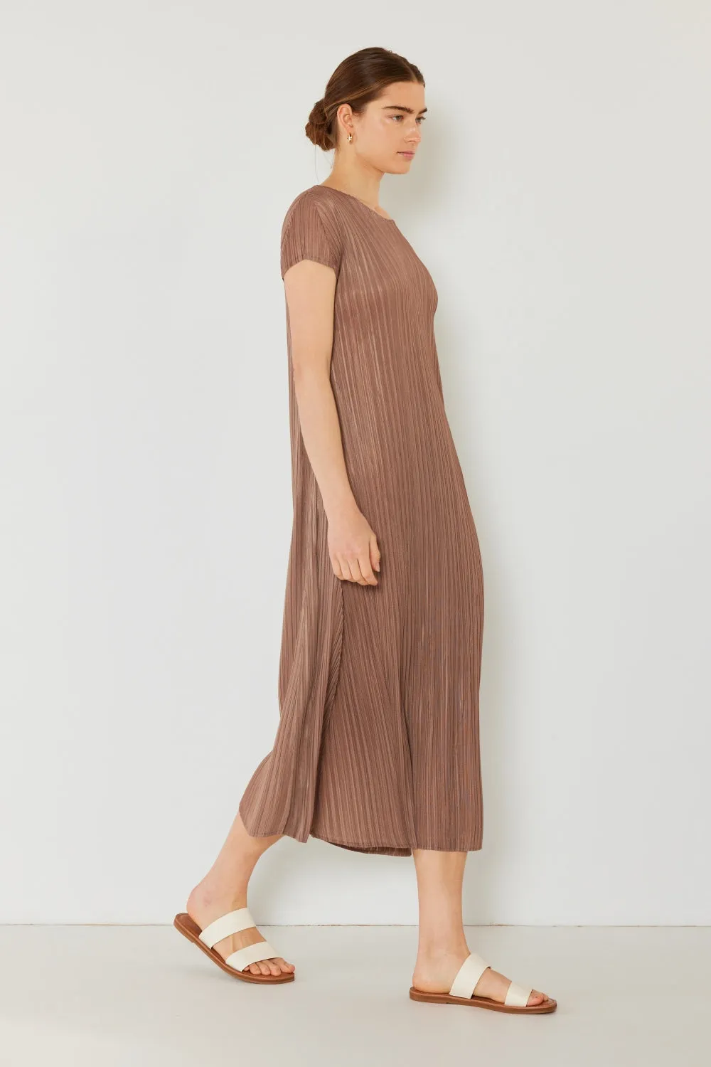 Pleated Cap Sleeve A-Line Dress